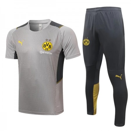 BVB Borussia Dortmund Camiseta De Entrenamiento 2022/23 Gris Claro - Hombre